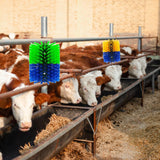 Maxbell Livestock Scratch Brush Efficient 19cmx22cm Horse Brush for Corral Sheep Cow Green and Blue
