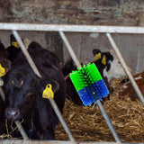 Maxbell Livestock Scratch Brush Efficient 19cmx22cm Horse Brush for Corral Sheep Cow Green and Blue