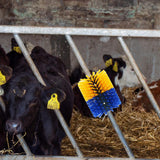 Maxbell Livestock Scratch Brush Efficient 19cmx22cm Horse Brush for Corral Sheep Cow Yellow and Blue