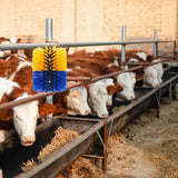 Maxbell Livestock Scratch Brush Efficient 19cmx22cm Horse Brush for Corral Sheep Cow Yellow and Blue