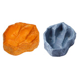 Maxbell Reptile Water Dish Container Easy to Clean Feeder for Chameleon Gecko Orange
