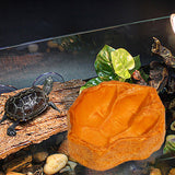 Maxbell Reptile Water Dish Container Easy to Clean Feeder for Chameleon Gecko Orange