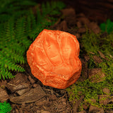 Maxbell Reptile Water Dish Container Easy to Clean Feeder for Chameleon Gecko Orange