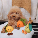 Maxbell Dog Squeaky Chew Toy Training Travel Use Entertainment for Small Dogs