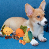 Maxbell Dog Squeaky Chew Toy Training Travel Use Entertainment for Small Dogs