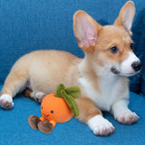 Maxbell Dog Squeaky Chew Toy Training Travel Use Entertainment for Small Dogs