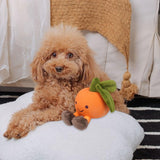 Maxbell Dog Squeaky Chew Toy Training Travel Use Entertainment for Small Dogs