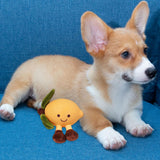 Maxbell Dog Squeaky Chew Toy Training Travel Use Entertainment for Small Dogs