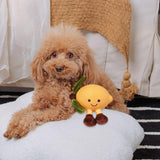 Maxbell Dog Squeaky Chew Toy Training Travel Use Entertainment for Small Dogs