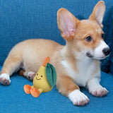 Maxbell Dog Squeaky Chew Toy Training Travel Use Entertainment for Small Dogs