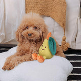 Maxbell Dog Squeaky Chew Toy Training Travel Use Entertainment for Small Dogs