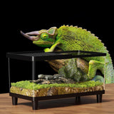 Maxbell Mini Reptile Terrarium Breeding Box Small Lizard Tank for Turtles Fish Frogs 30cmx19.5cmx21cm Black