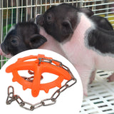 Maxbell Pig Bite Toy with Chain Small Animals Enjoyment Fun Farm Hog Piglet Chew Toy