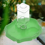 Maxbell Reptile Feeder Sturdy Gifts Reptile Food Dish for Lizard Reptiles Amphibians Dark Green