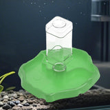 Maxbell Reptile Feeder Sturdy Gifts Reptile Food Dish for Lizard Reptiles Amphibians Dark Green