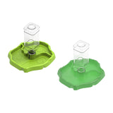 Maxbell Reptile Feeder Sturdy Gifts Reptile Food Dish for Lizard Reptiles Amphibians Dark Green