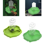 Maxbell Reptile Feeder Sturdy Gifts Reptile Food Dish for Lizard Reptiles Amphibians Dark Green