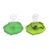 Maxbell Reptile Feeder Sturdy Gifts Reptile Food Dish for Lizard Reptiles Amphibians Dark Green