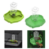 Maxbell Reptile Feeder Sturdy Gifts Reptile Food Dish for Lizard Reptiles Amphibians Dark Green
