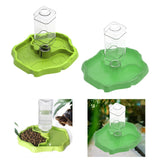 Maxbell Reptile Feeder Sturdy Gifts Reptile Food Dish for Lizard Reptiles Amphibians Dark Green