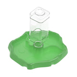 Maxbell Reptile Feeder Sturdy Gifts Reptile Food Dish for Lizard Reptiles Amphibians Dark Green