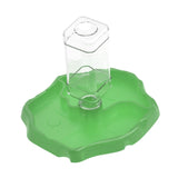 Maxbell Reptile Feeder Sturdy Gifts Reptile Food Dish for Lizard Reptiles Amphibians Dark Green