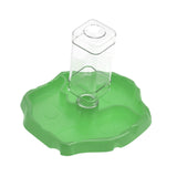 Maxbell Reptile Feeder Sturdy Gifts Reptile Food Dish for Lizard Reptiles Amphibians Dark Green