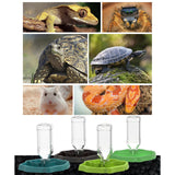 Maxbell Reptile Feeder Sturdy Gifts Reptile Food Dish for Lizard Reptiles Amphibians Dark Green