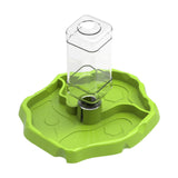 Maxbell Reptile Feeder Sturdy Gifts Reptile Food Dish for Lizard Reptiles Amphibians Grass Green