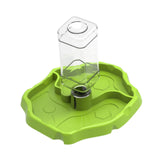 Maxbell Reptile Feeder Sturdy Gifts Reptile Food Dish for Lizard Reptiles Amphibians Grass Green