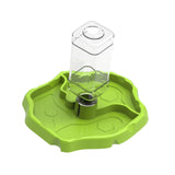 Maxbell Reptile Feeder Sturdy Gifts Reptile Food Dish for Lizard Reptiles Amphibians Grass Green