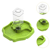 Maxbell Reptile Feeder Sturdy Gifts Reptile Food Dish for Lizard Reptiles Amphibians Grass Green