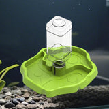 Maxbell Reptile Feeder Sturdy Gifts Reptile Food Dish for Lizard Reptiles Amphibians Grass Green