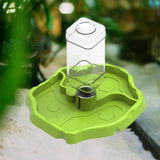 Maxbell Reptile Feeder Sturdy Gifts Reptile Food Dish for Lizard Reptiles Amphibians Grass Green
