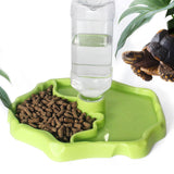 Maxbell Reptile Feeder Sturdy Gifts Reptile Food Dish for Lizard Reptiles Amphibians Grass Green