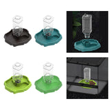 Maxbell Reptile Waterer Turtle Food and Water Bowl Automatic Feeder Reptile Drinking Dark Coffee