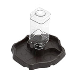 Maxbell Reptile Waterer Turtle Food and Water Bowl Automatic Feeder Reptile Drinking Dark Coffee