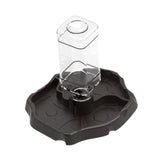 Maxbell Reptile Waterer Turtle Food and Water Bowl Automatic Feeder Reptile Drinking Dark Coffee