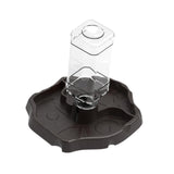 Maxbell Reptile Waterer Turtle Food and Water Bowl Automatic Feeder Reptile Drinking Dark Coffee