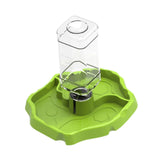 Maxbell Reptile Waterer Turtle Food and Water Bowl Automatic Feeder Reptile Drinking Fruit Green