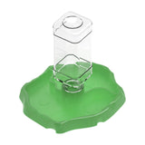 Maxbell Reptile Waterer Turtle Food and Water Bowl Automatic Feeder Reptile Drinking Green