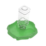 Maxbell Reptile Waterer Turtle Food and Water Bowl Automatic Feeder Reptile Drinking Green