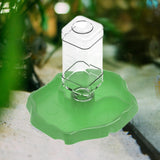 Maxbell Reptile Waterer Turtle Food and Water Bowl Automatic Feeder Reptile Drinking Green