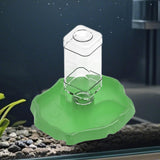 Maxbell Reptile Waterer Turtle Food and Water Bowl Automatic Feeder Reptile Drinking Green