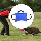 Maxbell Tug Toy for Dogs Portable Interactive Toy with 3 Handle Tug of War Chew Toys blue