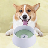 Maxbell Dog Water Feeder 1.2L Easy to Clean Water Pet Water Bowl for Puppy Cats Dogs Green
