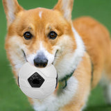 Maxbell Dog Treat Dispensing Soccer Chew Throw Ball for Teeth Cleaning Chewing White