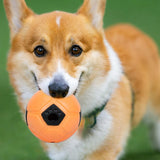 Maxbell Dog Treat Dispensing Soccer Chew Throw Ball for Teeth Cleaning Chewing Orange