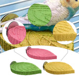 Maxbell Parrot Perch Compact Grinding Stand for Birds for Cockatiels Conures Budgies Pink