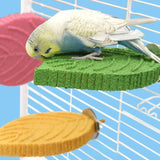 Maxbell Parrot Perch Compact Grinding Stand for Birds for Cockatiels Conures Budgies Green